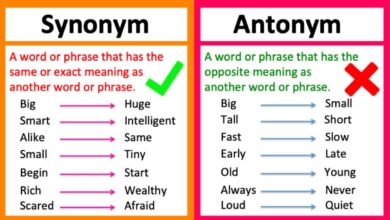 another word for also