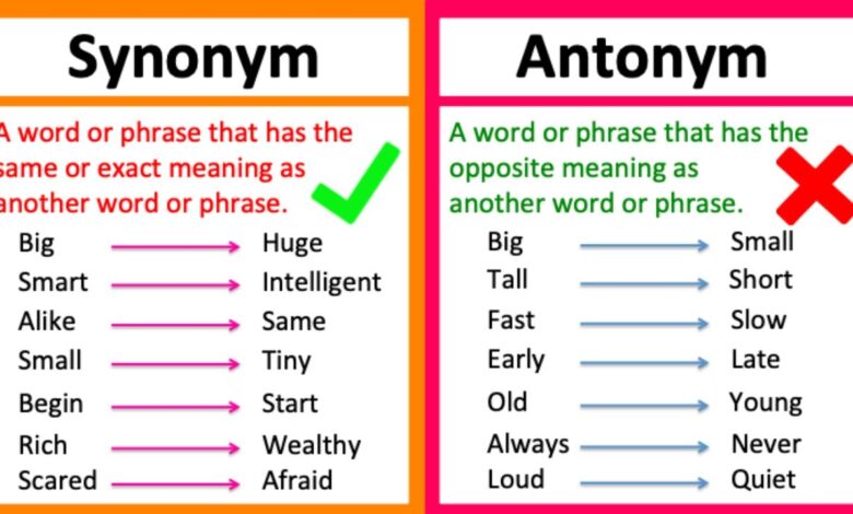 another word for also