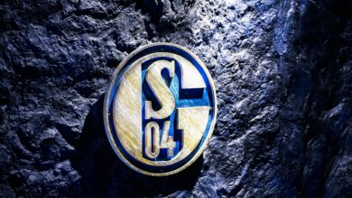 Spirit of s04 fc schalke 04