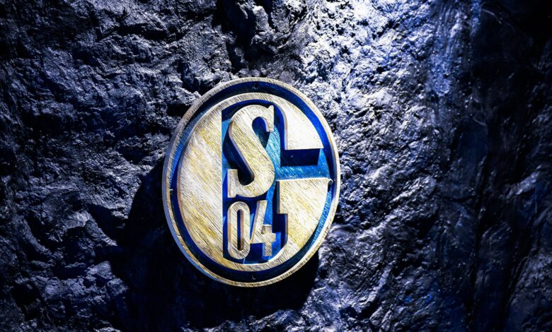 Spirit of s04 fc schalke 04